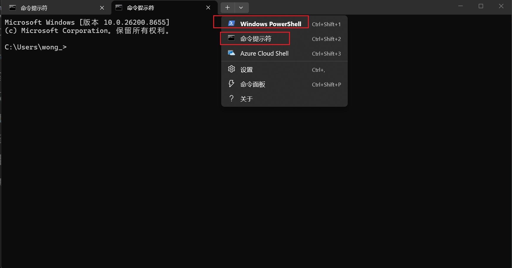 截图：Windows Terminal 顶部下拉菜单中显示 PowerShell 和 CMD 两种入口